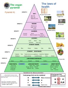 Piramide-Vegana_En.pdf